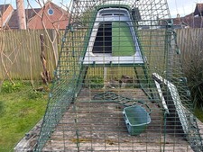 Green Eglu chicken coop and