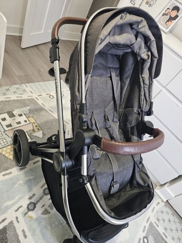 Red kite push travel - kite,