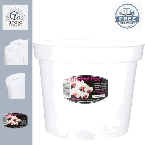 21cm clear orchid - clear, pot