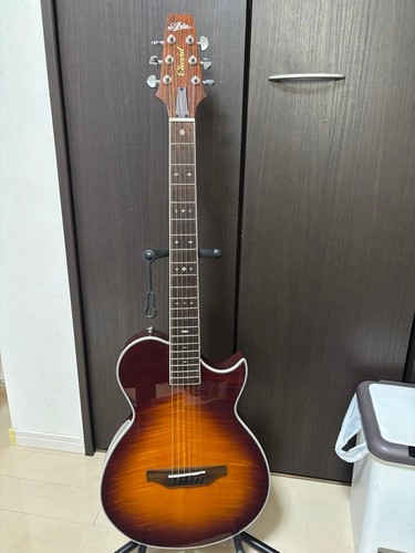 Aria elecord ape 100 electro - ape-100,