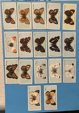 (A 65/1) WILL’S “BRITISH