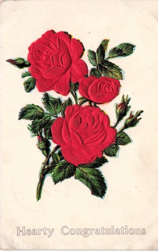 Antique birthday card velvet - antique,