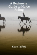 A Beginners Guide to Horse