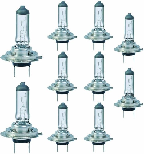 Bulbs 12v - x, (477/499)