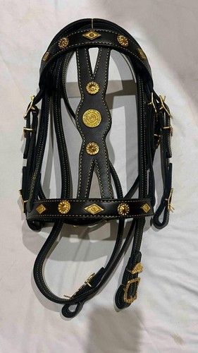 Handmade fancy horse bridle - fancy, in
