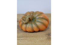 Small Pumpkin - 11134