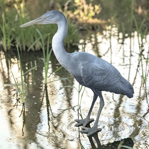 Elegant peace heron - elegant,