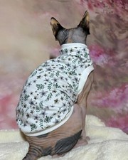 Floral classic Sphynx  cat