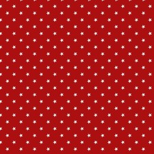 Wipe Clean Tablecloth PVC