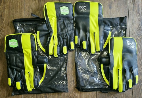 Dsc style wicket keeping - style,