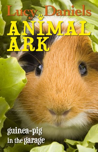Animal ark guinea - guinea-pig, in