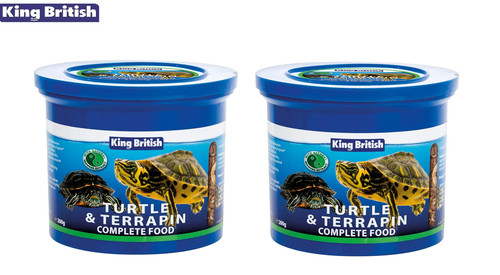 King british turtle - king,