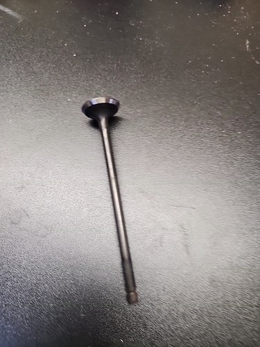 Engine exhaust valve - engine,