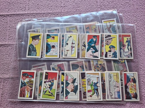 Complete set primrose - set, z