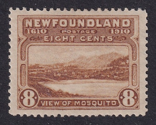 Newfoundland 1911 mosquito - newfoundland, 8c