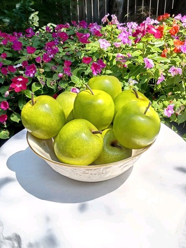 Artificial faux apple - artificial, fruit