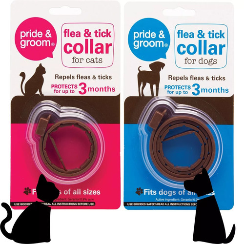 Dog cat flea - dog,