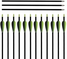 12pcs 32inch Fibreglass Arrows SP600 Arrows Archery Target Shooting Hunting