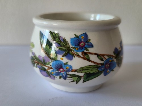 Vintage portmeirion botanic - portmeirion,