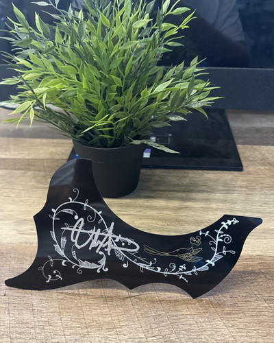 Billy strings signed - strings,