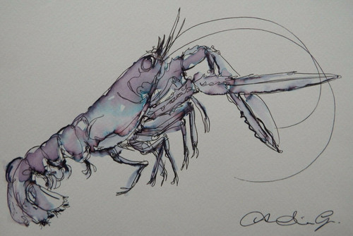 Langoustine drawing original