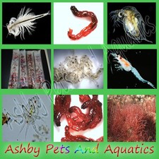 Live Fish Food Tropical Marine Bloodworm Daphnia Tubifex Brine Shrimp