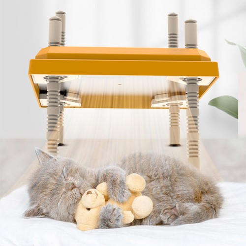 Poultry brooder heating - poultry,