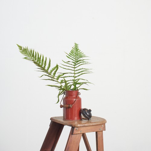 Antique vintage rustic - vintage,