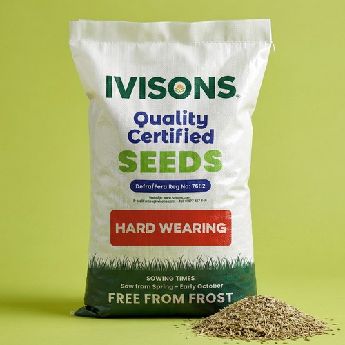 Grass seed pet child - grass,