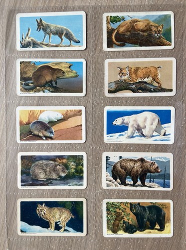 Complete set brooke - brooke, bond