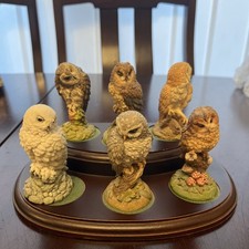Set Of 6. Royal Doulton Owls On A Mahogany Coloured Stand Snow Towny Barn Owls