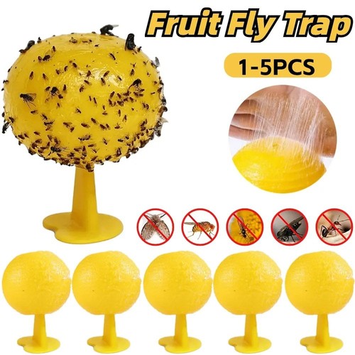Fruit fly balls ball - fly,