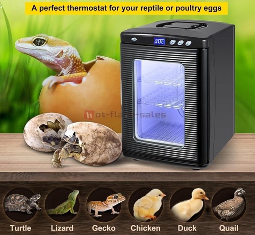 Automatic digital hatched - automatic,