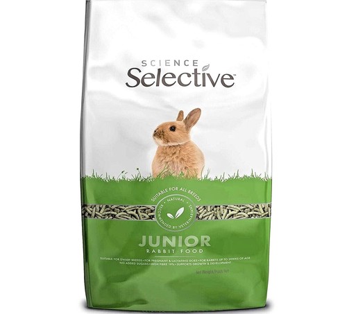 Science selective junior - science,