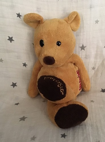 Newton law teddy bear - bear, rory