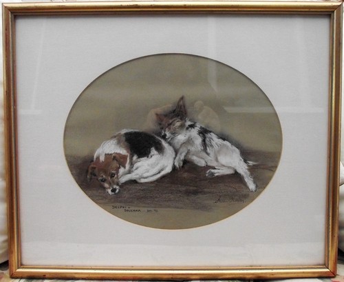 Original pastel jack - original,