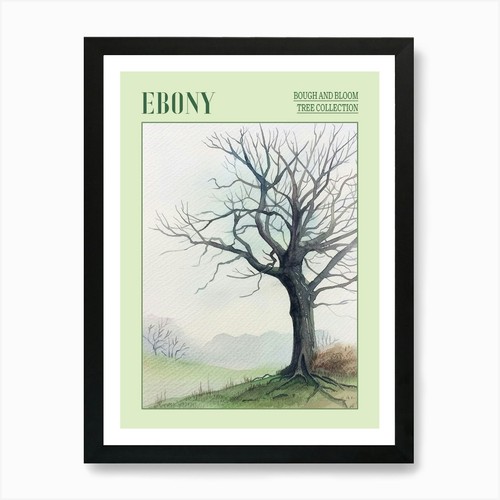 Ebony tree atmospheric - tree,