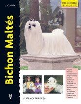Bichon maltés maltese by - bichon,
