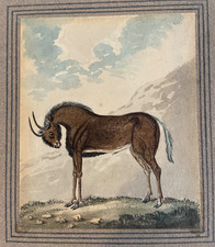 Original Watercolour by Samuel