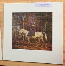 SIR ALFRED MUNNINGS; ``A Boy &