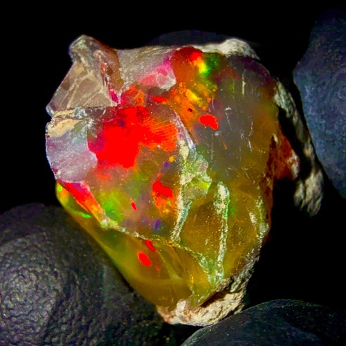 Opal ethiopian black dry - black,