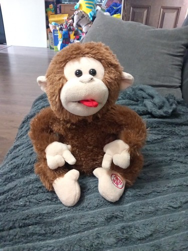 Funny face giggleing monkey - giggleing,