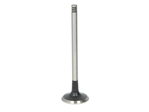 V94609 exhaust valve oe - valve,