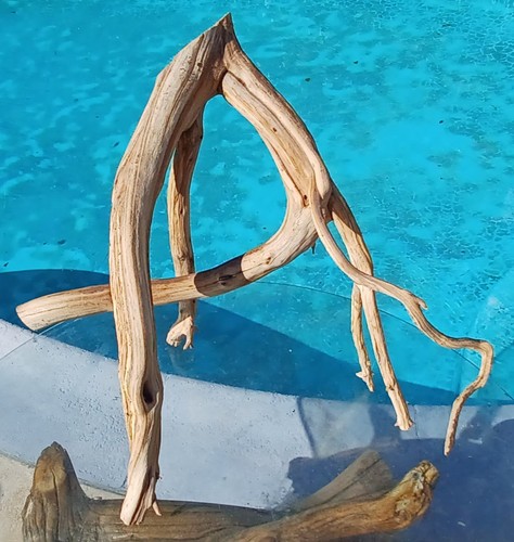 Large driftwood manzanita - large,