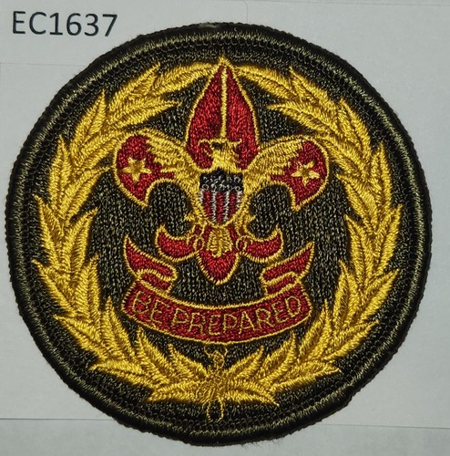 Boy scout position patch - position,
