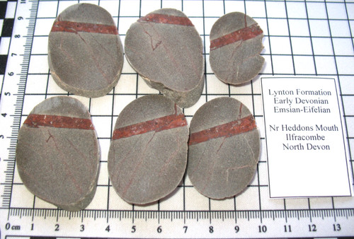 Devonian lynton formation - lynton,