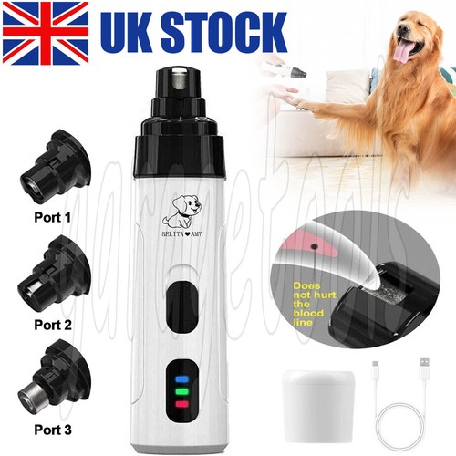 Pet dog cat - pet,