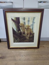 Nigel Hemming Autumn Gold