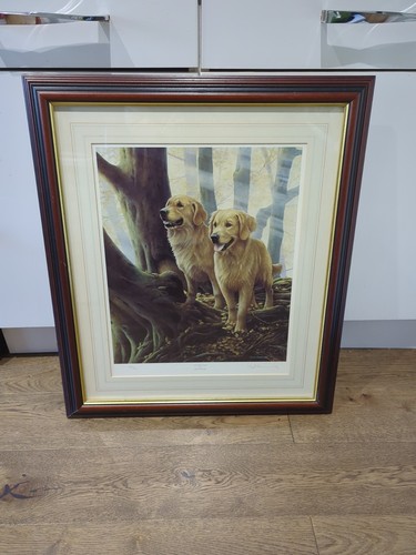 Nigel hemming autumn - nigel, gold