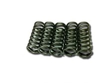 Nihilo KTM/Husqvarna 85/105 HD Clutch Springs